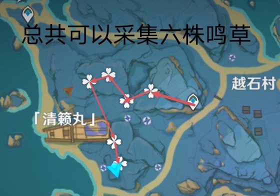 《原神》鸣草采集路线详解鸣草怎么采集？