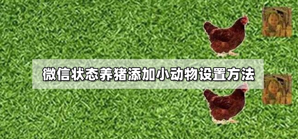 微信养猪交流群(微信养猪群二维码照片)