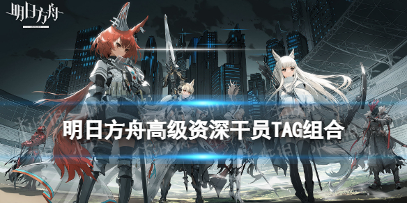 《明日方舟》高级资深干员TAG组合-公开招募TAG组合计算器