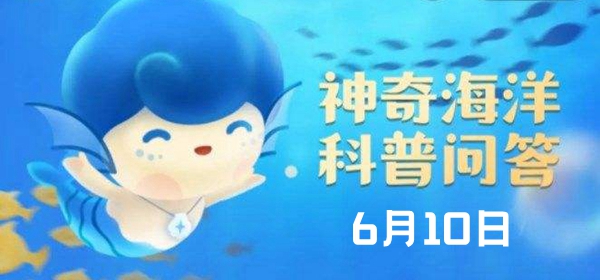 神奇海洋6.10答案：为什么我国近海没有湛蓝的海水