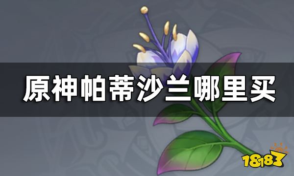 《原神》帕蒂沙兰购买位置帕蒂沙兰哪里买？