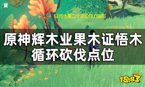 《原神》王树的瑞佑最佳使用点位辉木业果木证悟木循环砍伐点位