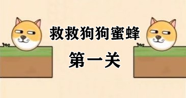 救援狗狗视频(狗狗拯救蜜蜂)