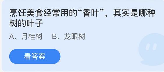 烹饪美食经常用的香叶，其实是哪种树的叶子