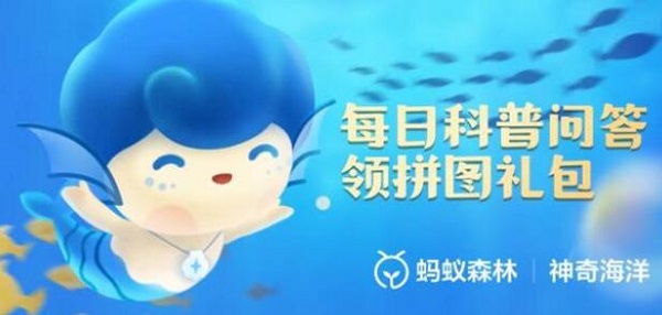 海面上的水母(海洋里的水母有什么本领)