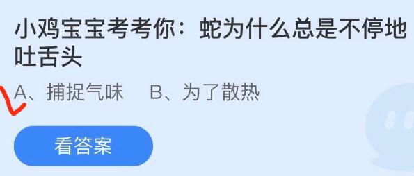 小鸡宝宝考考你蛇为什么总是不停地吐舌头