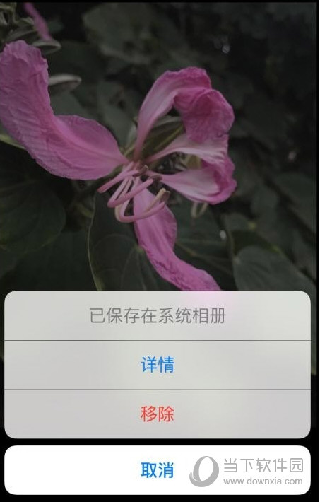 时光相册app怎么删除已上传的照片和视频