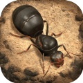 小小蚁国蚂蚁模拟器