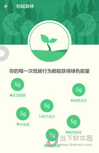 支付宝蚂蚁森林怎么开通行走能量