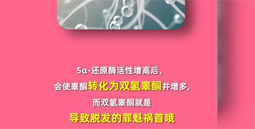 为什么有人秃头但是眉毛胡子却超浓