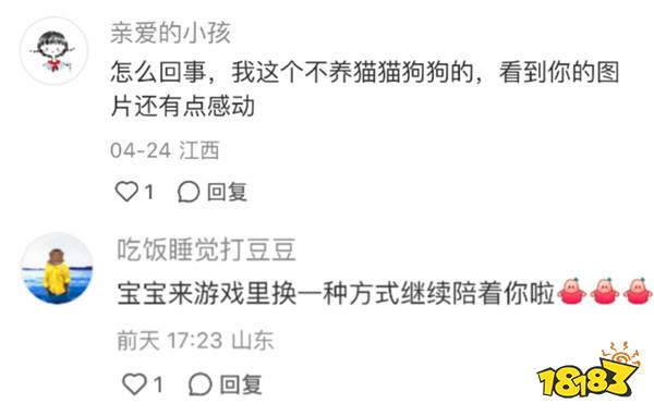 强推！申请《以闪亮之名》游戏加入养宠人必入清单