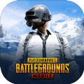 pubgmobile国际服2.1版本